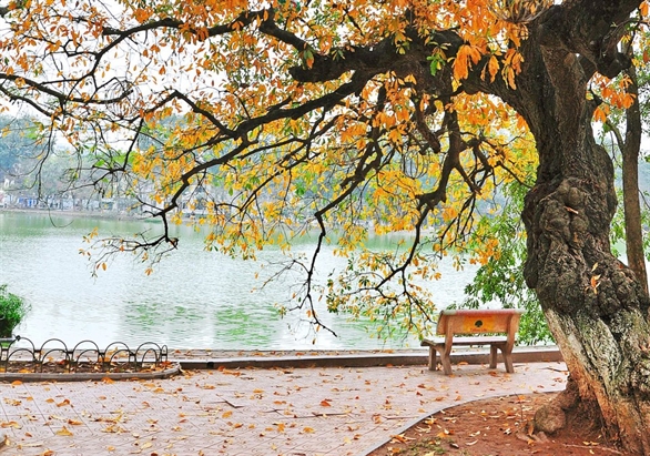 mua thu ha noi