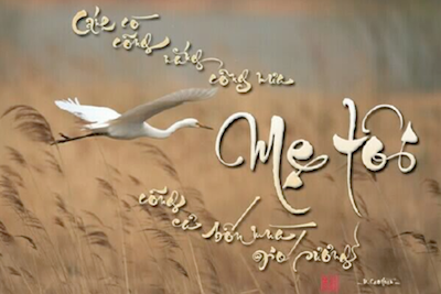 nho me 8 3