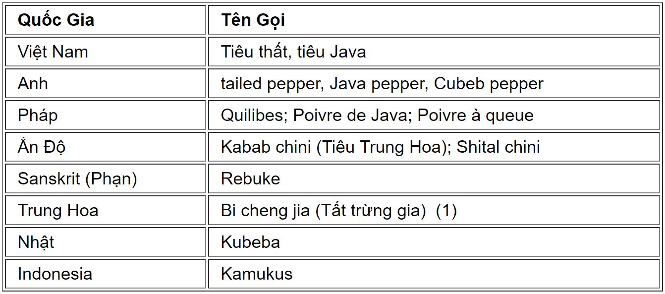 tieujava1