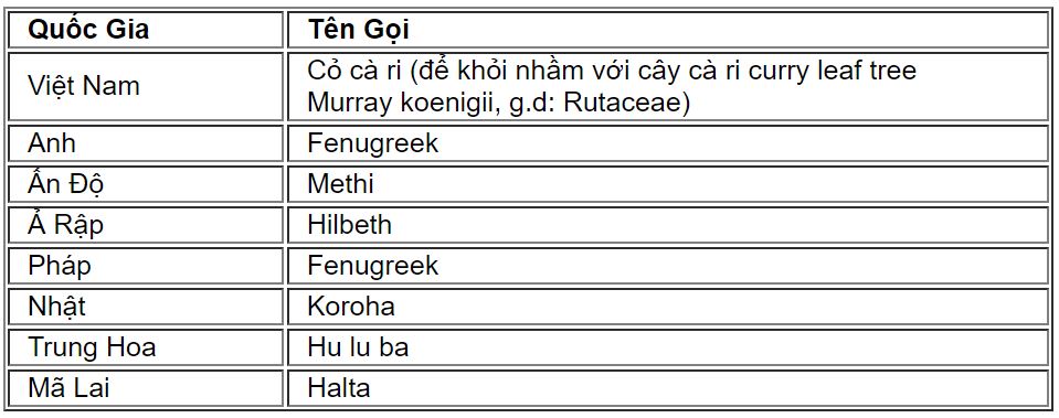 cari1