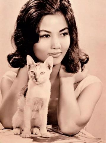 kieuchinh