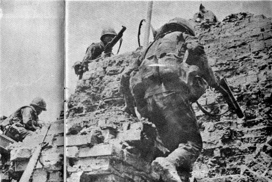 quangtri1972 1