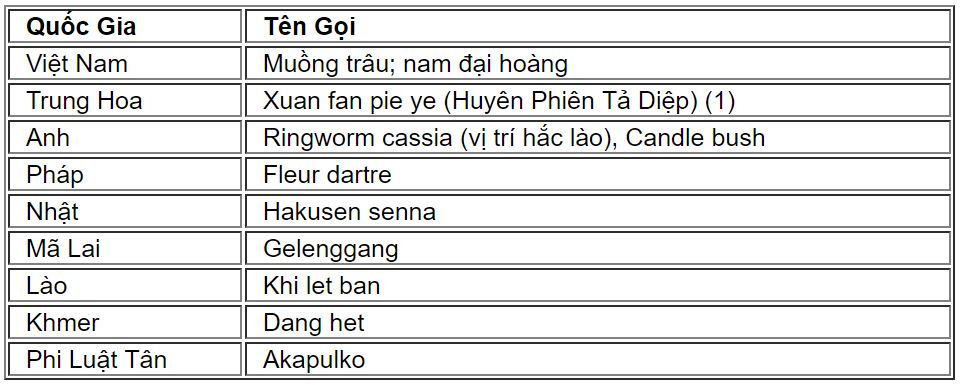 muongtrau1