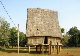 pleiku6