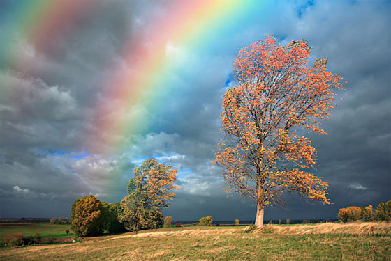 rainbow