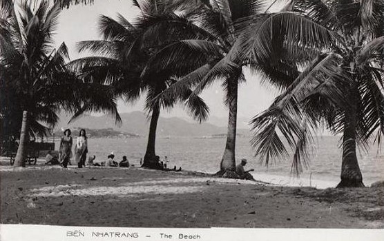 baibiennhatrang