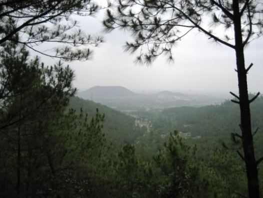 ngolongminhlarung