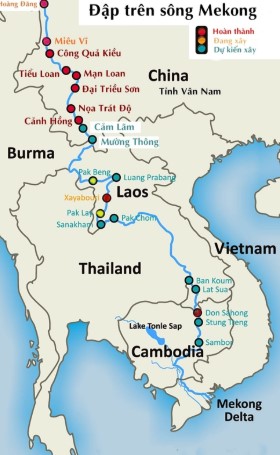 ngothevinh1