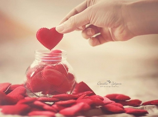 no nhau mot chu an tinh 8a29c1