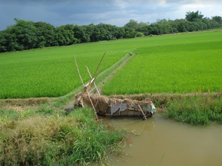 truongsanh