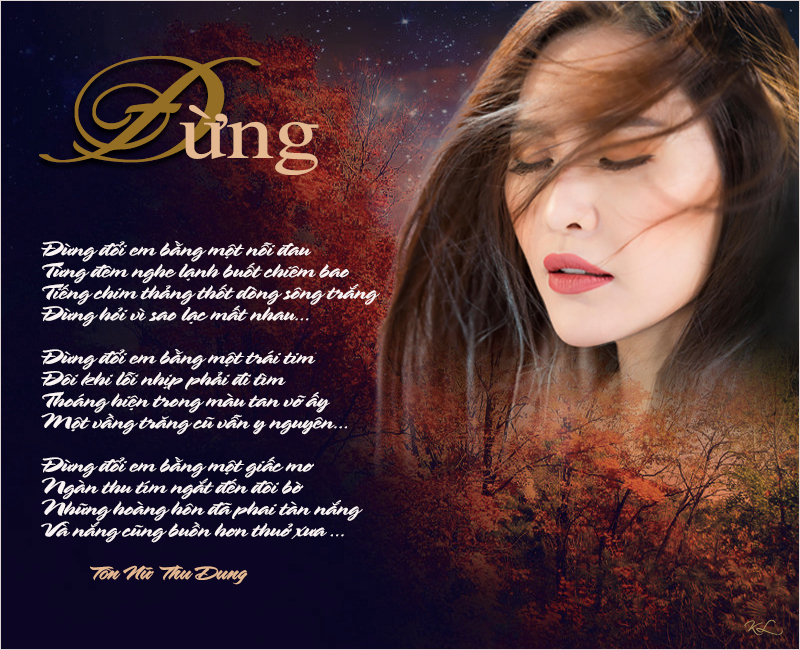 Dung