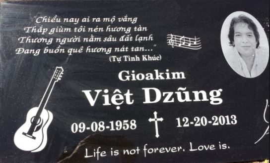 VietDzung1