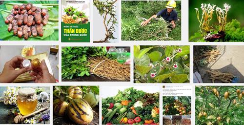 thanduoc