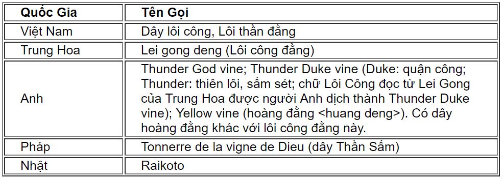loicongdang1