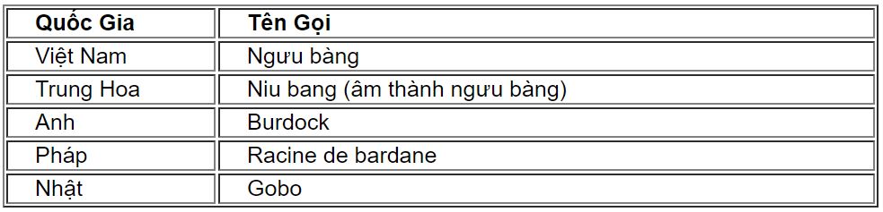 nguubang1