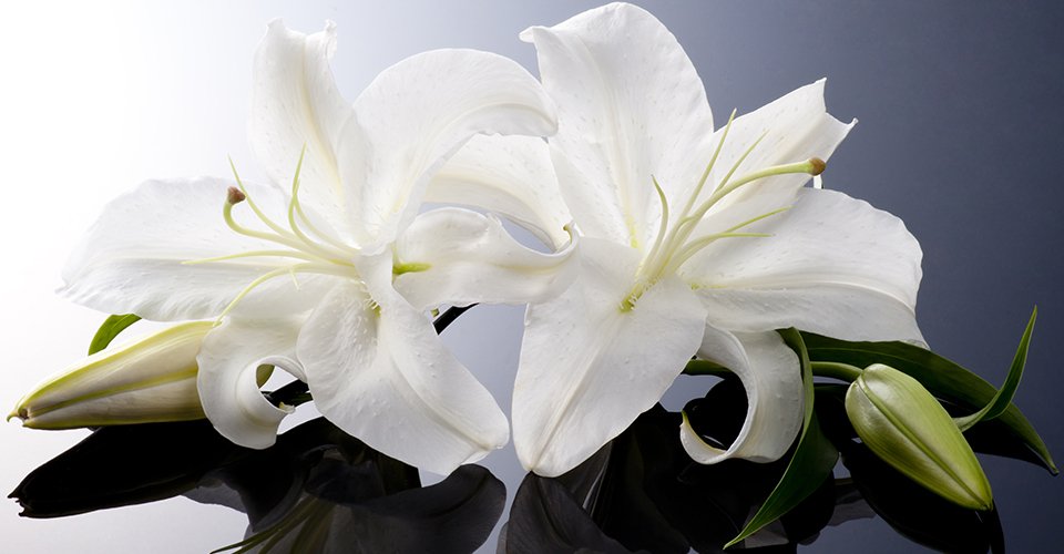 Funeral home 960x500