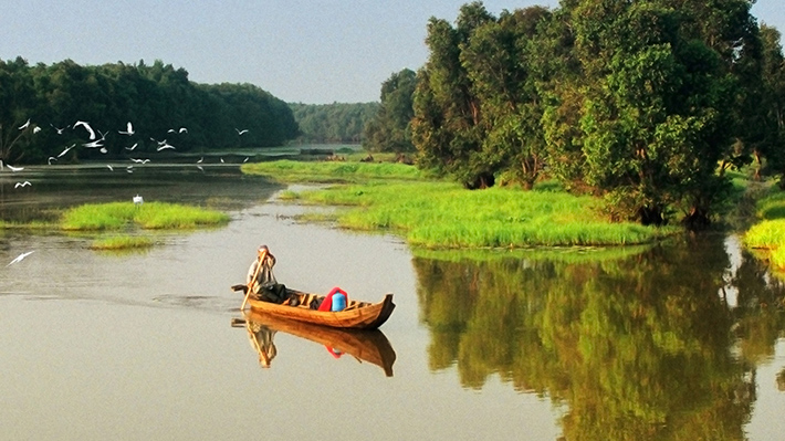 dong thap
