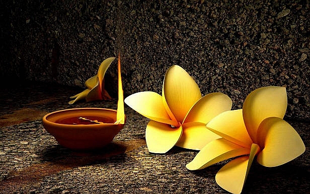 flower.lamp