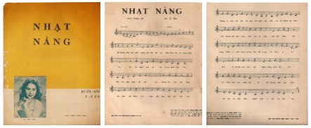 nhatnang