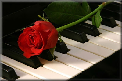 rose1297519822