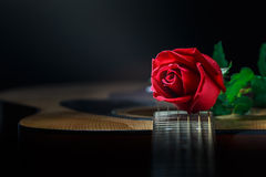 todavía vida color de rosa y guitarra 48862586