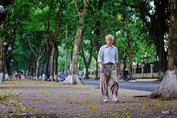 vehưu