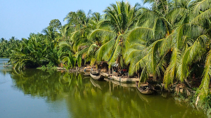 Mekong Delta Palm Trees 730x410