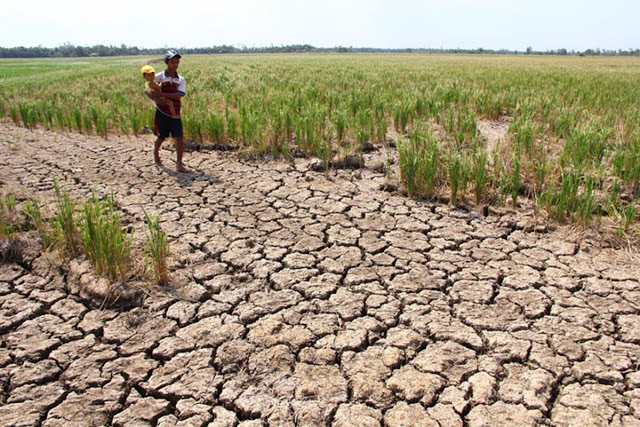 MekongDeltadrought Saigoneer