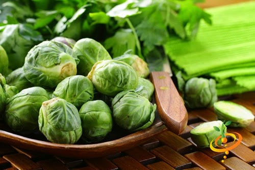 bap cai ti hon