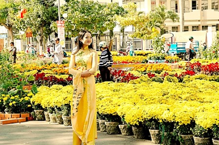 chohoamt
