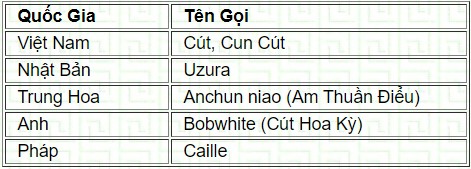 cut
