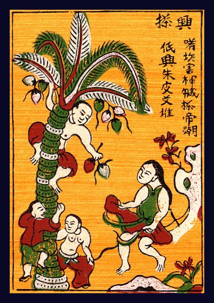 haidua