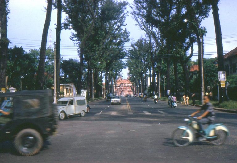 ngangTruongLuat 768x530