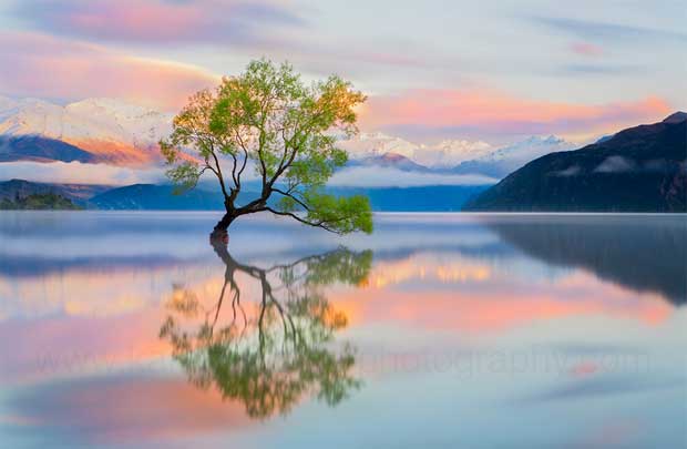 reflect 1508450563