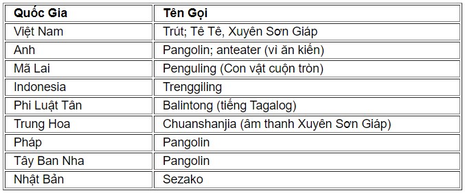 tete1
