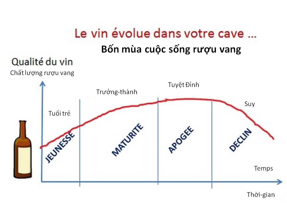 vang7