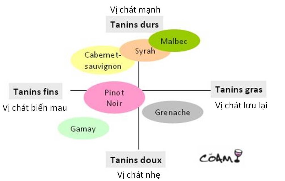 vang9